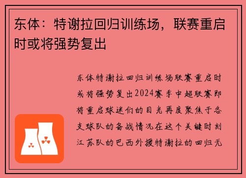 东体：特谢拉回归训练场，联赛重启时或将强势复出