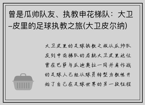 曾是瓜帅队友、执教申花梯队：大卫-皮里的足球执教之旅(大卫皮尔纳)